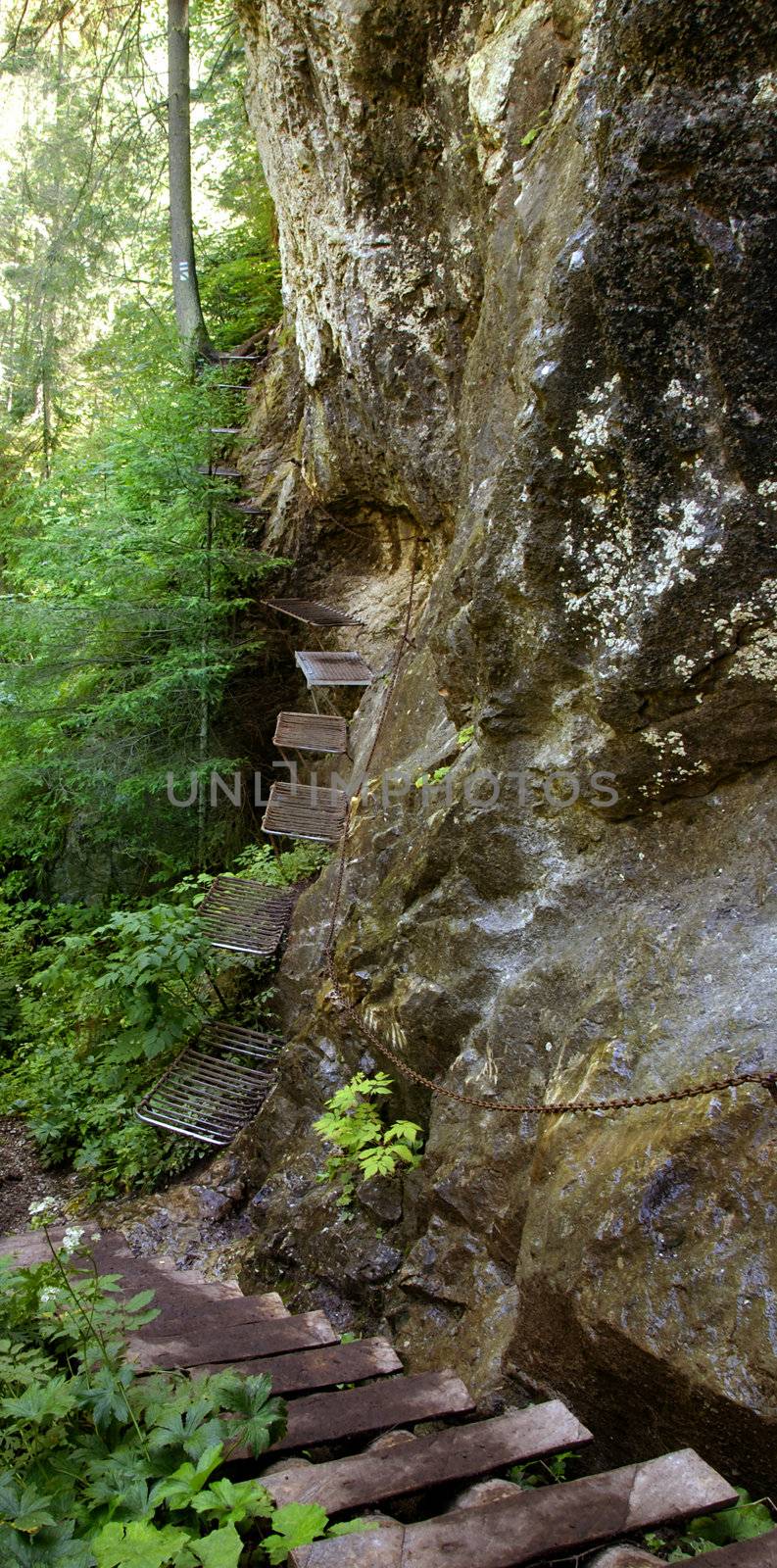 Extreme hiking and mountains climbing on wooden ledders and metal pads in Slovakian Paradise national park in Slovakia