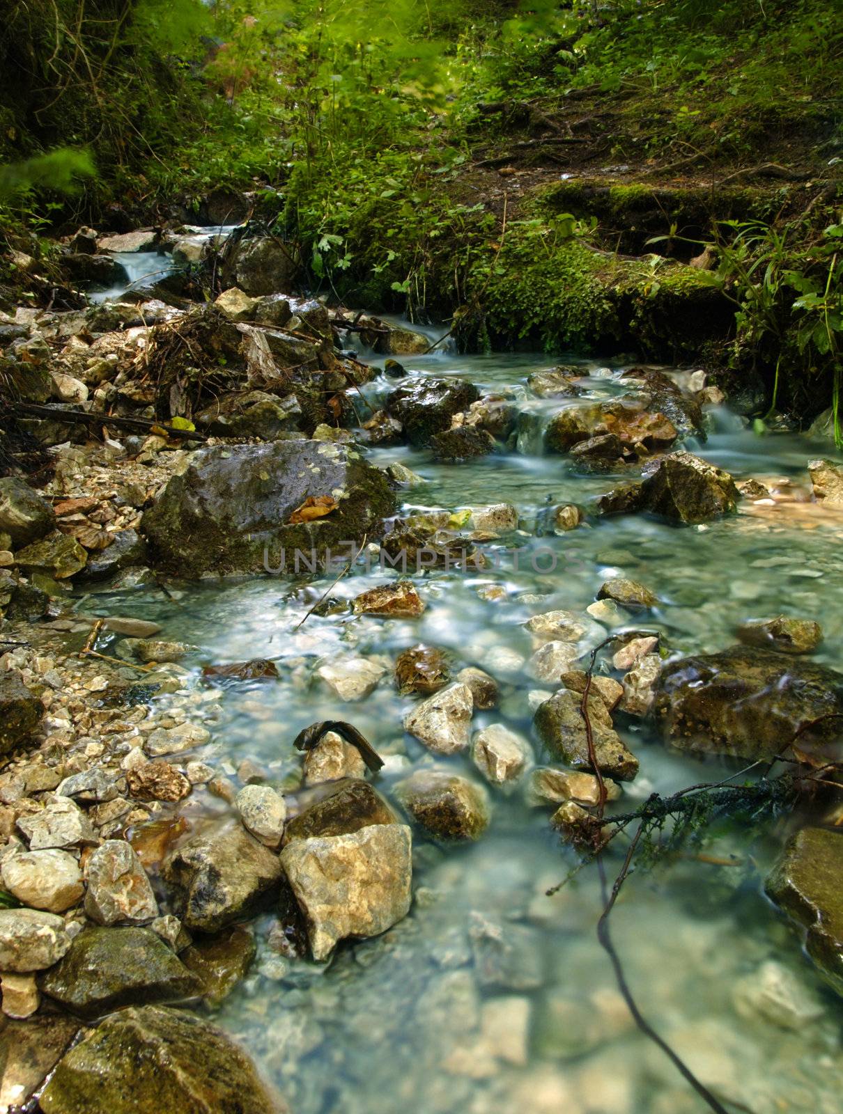 One of the many crystal clear brooks in the Slovakian paradise natural park