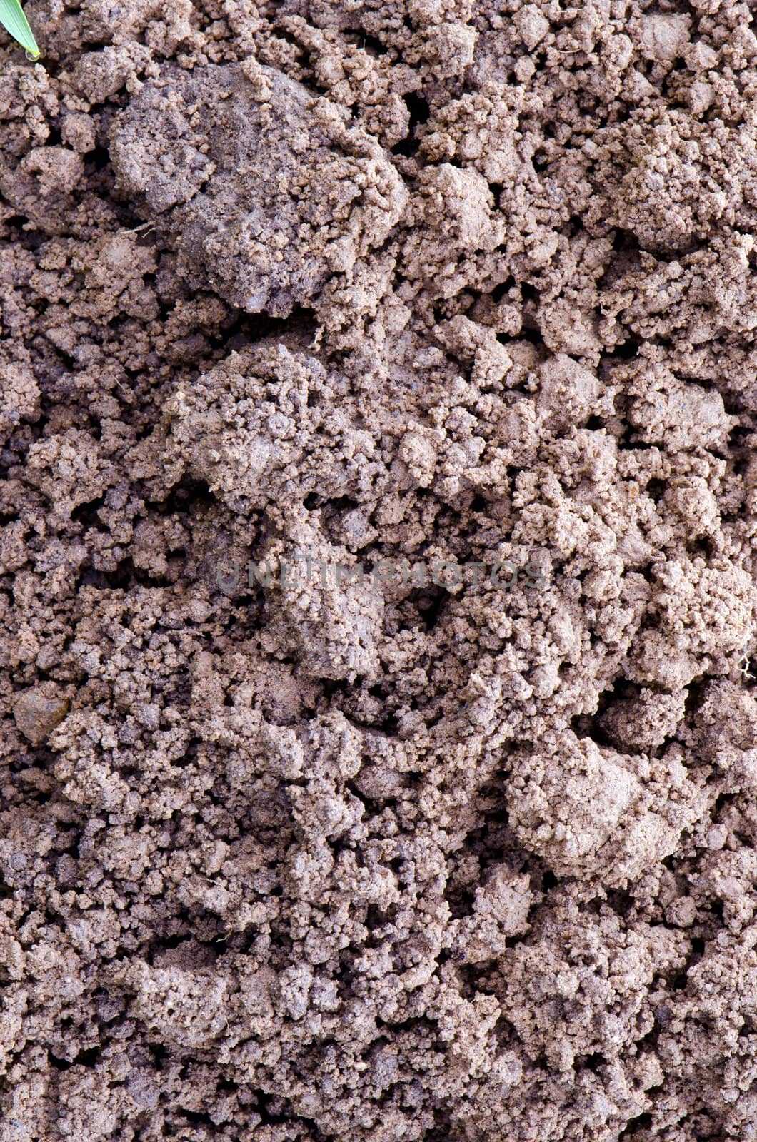 Macro closeup of dirt ground background detail. by sauletas