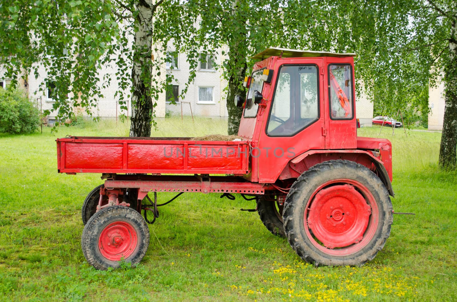 Retro red agricultural tractor with trailer near birch tree in small town.