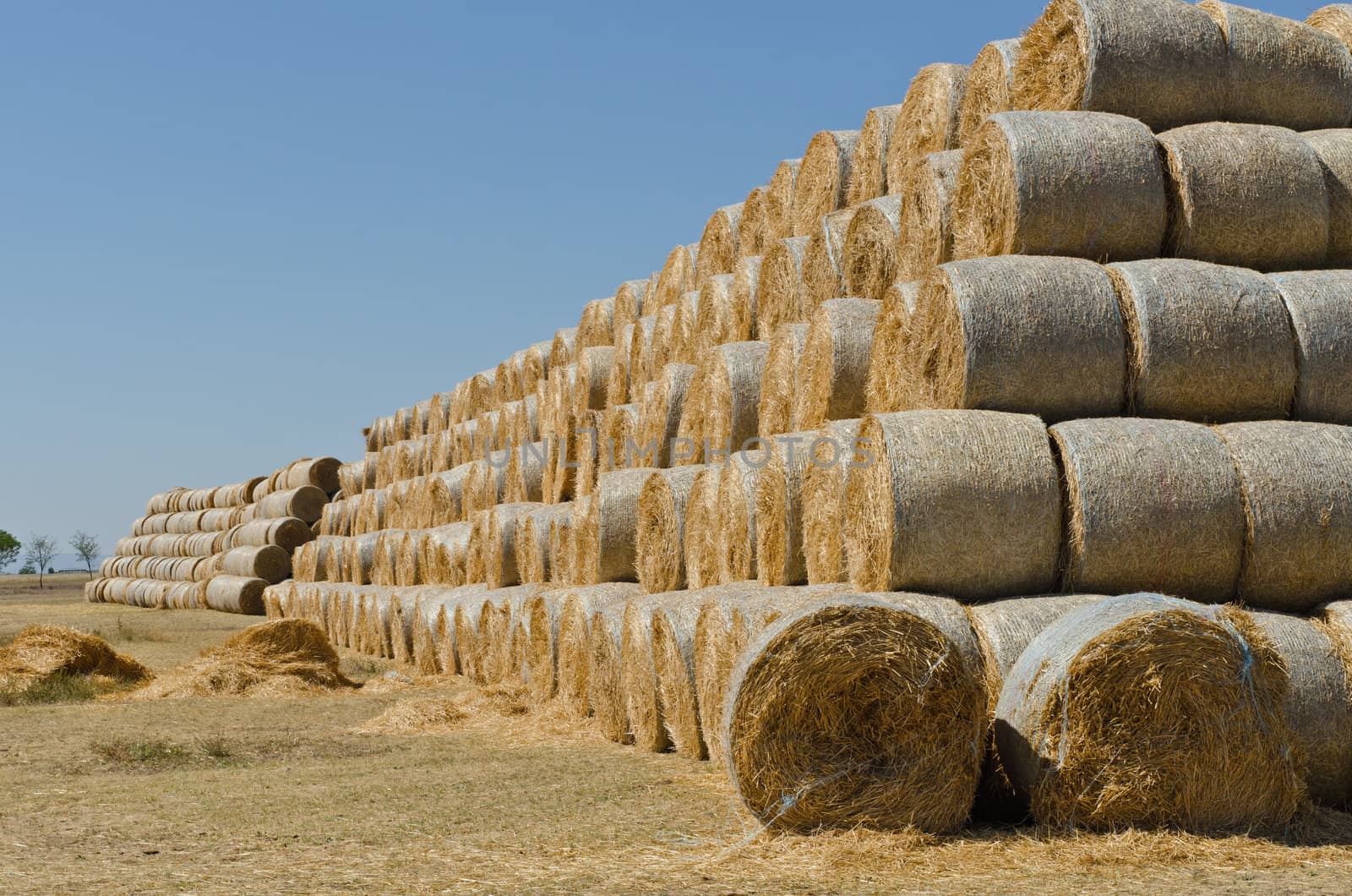 pasture straw and big stacks of hay bales on the cattle farm, horizontal shot