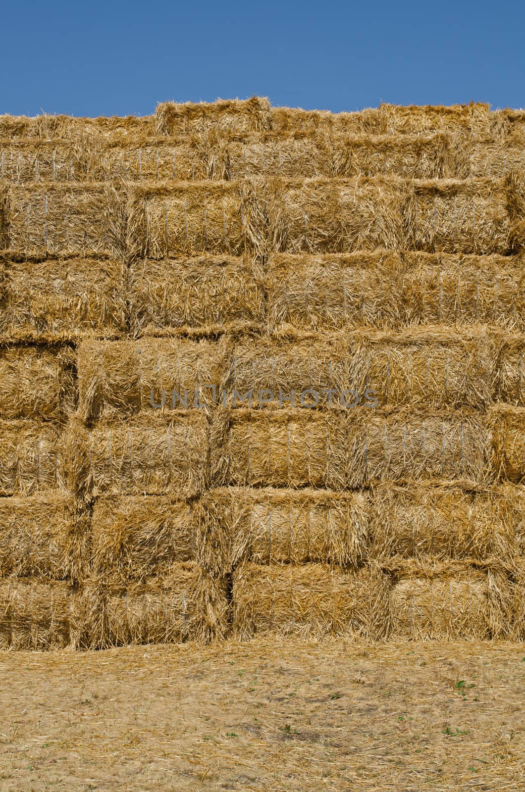 hay bales  by milinz