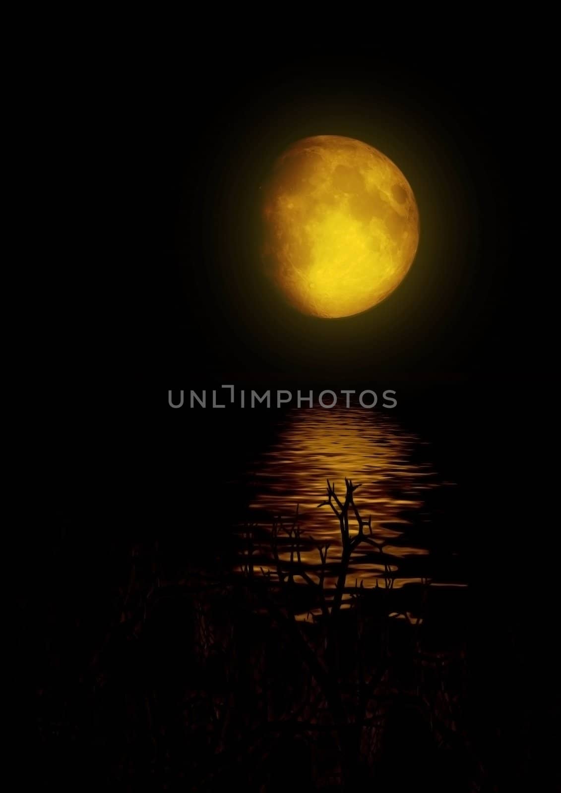 half moon in the night sky over a water smooth surface