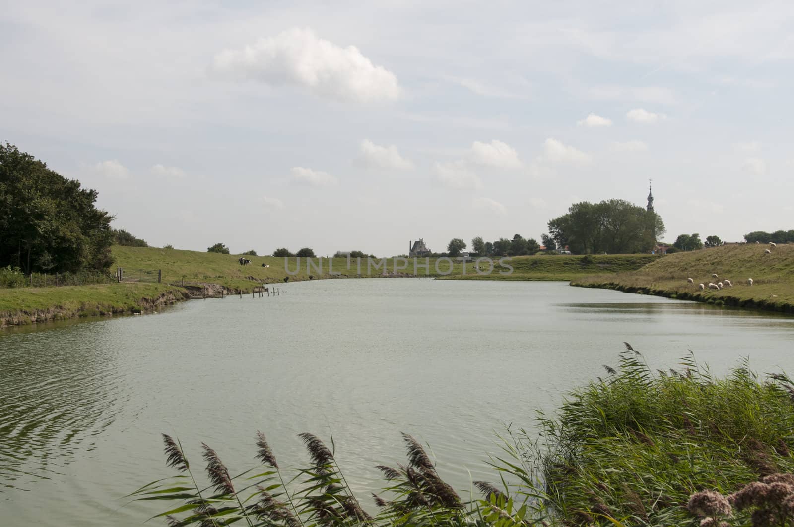 lake and nature in holland near Veere