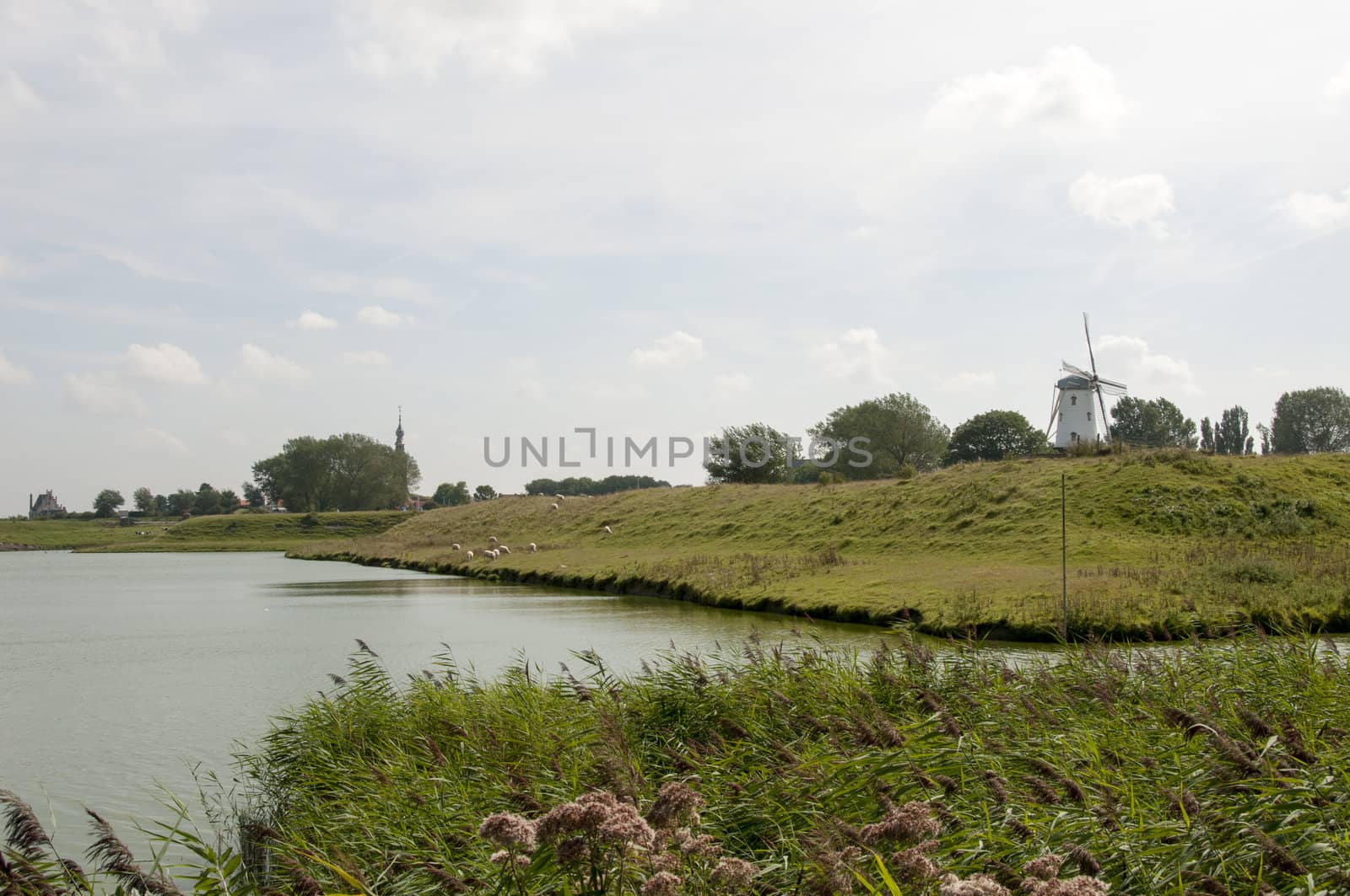 lake and nature in holland near Veere