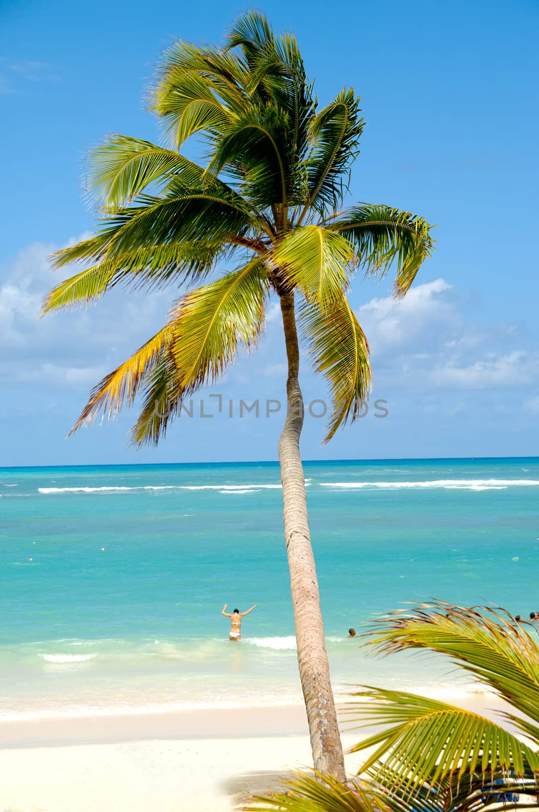 Caribbean beach with palm and white sand with the coast in the background
