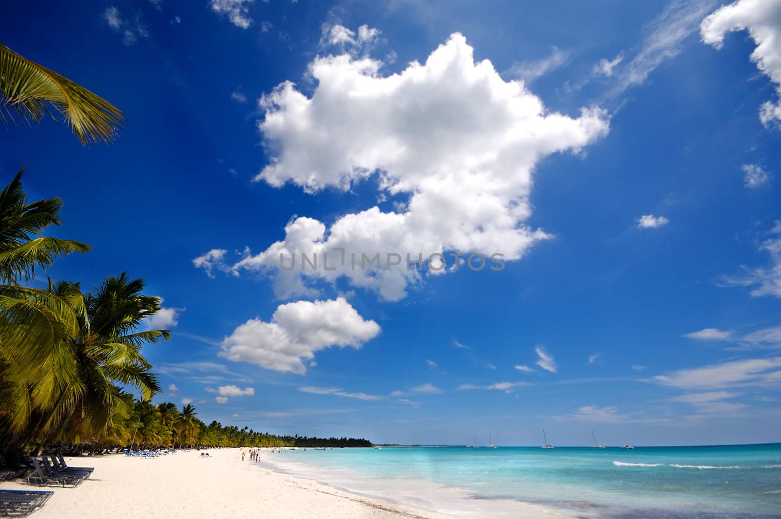 Paradise beach at Saona Island, Dominican Republic