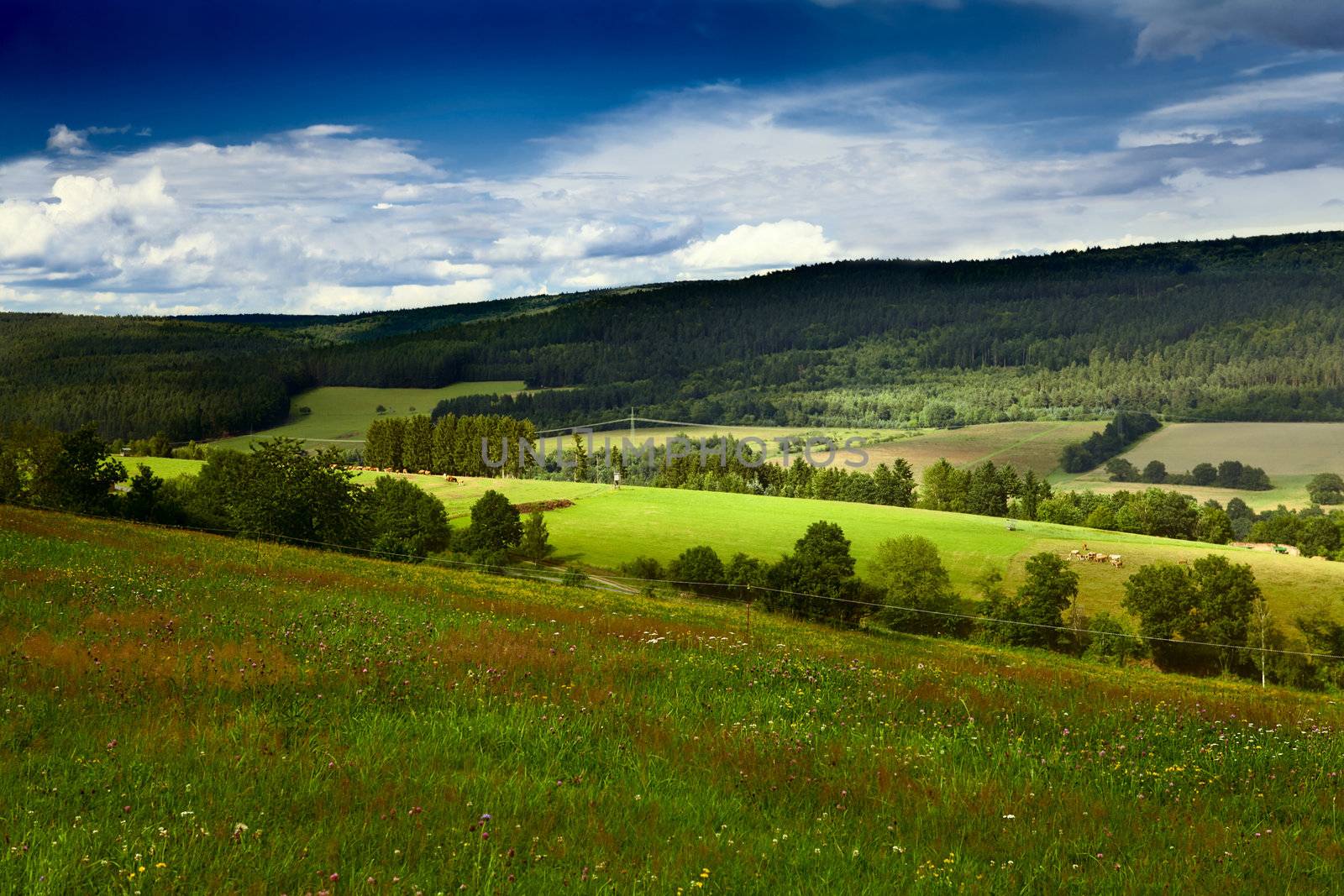 summer green meadows in mountains in Burgsinn, Bavaria