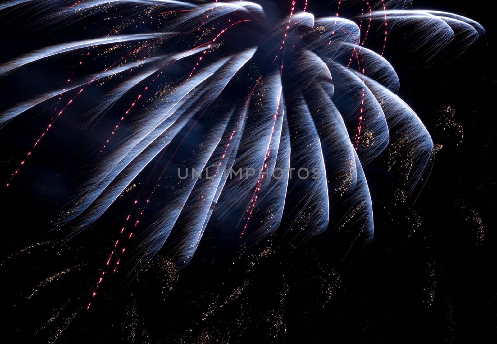 Firework on lake