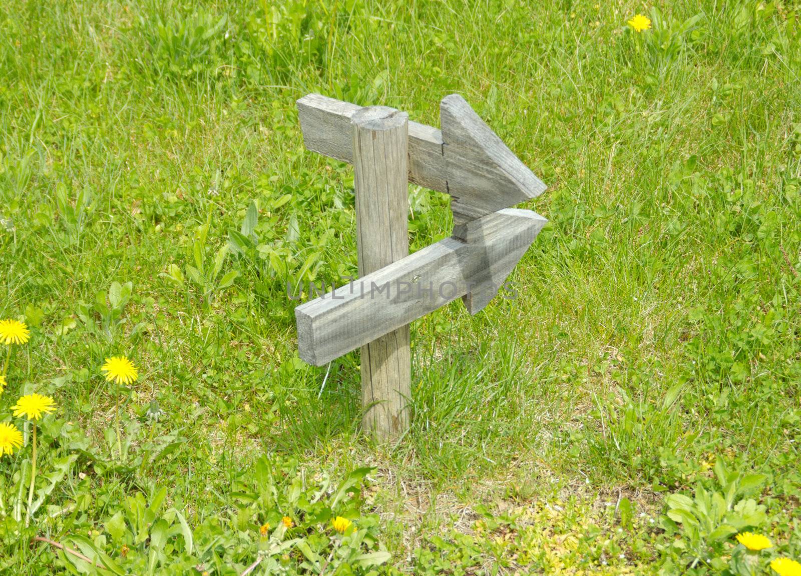 Wooden marker showing two routes