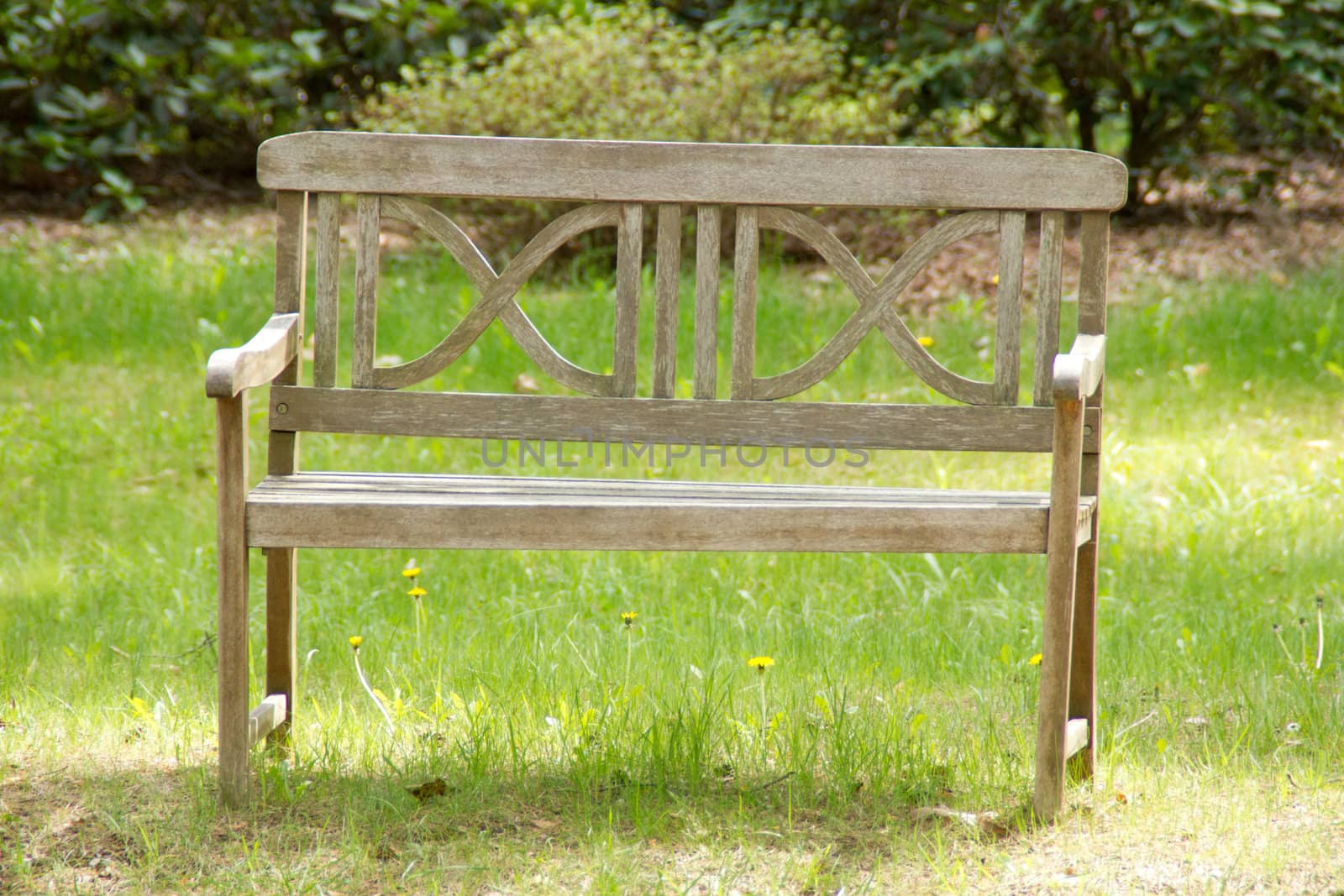 Lonely bench standing in a park