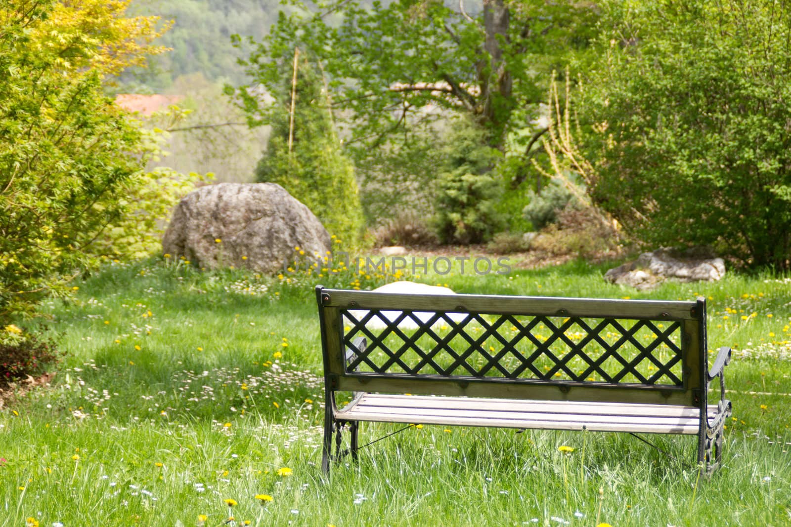 Lonely bench standing in a park