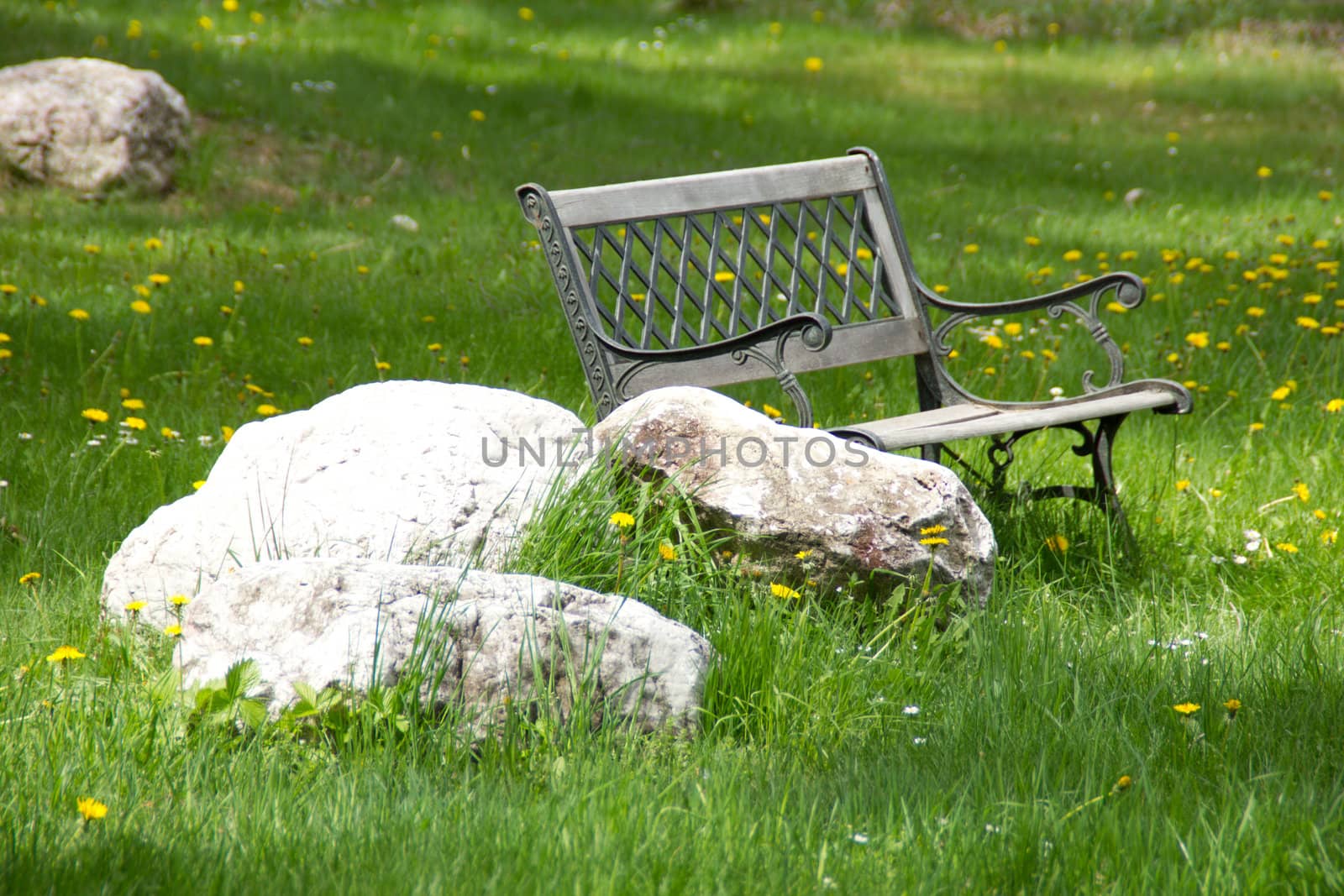 Lonely bench standing in a park