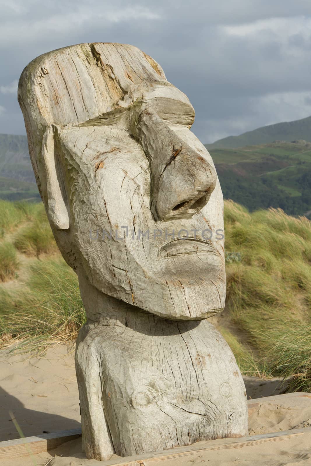 The face of a man carved into a section of wood placed onto a sand dune with grasses and mountains in the background.