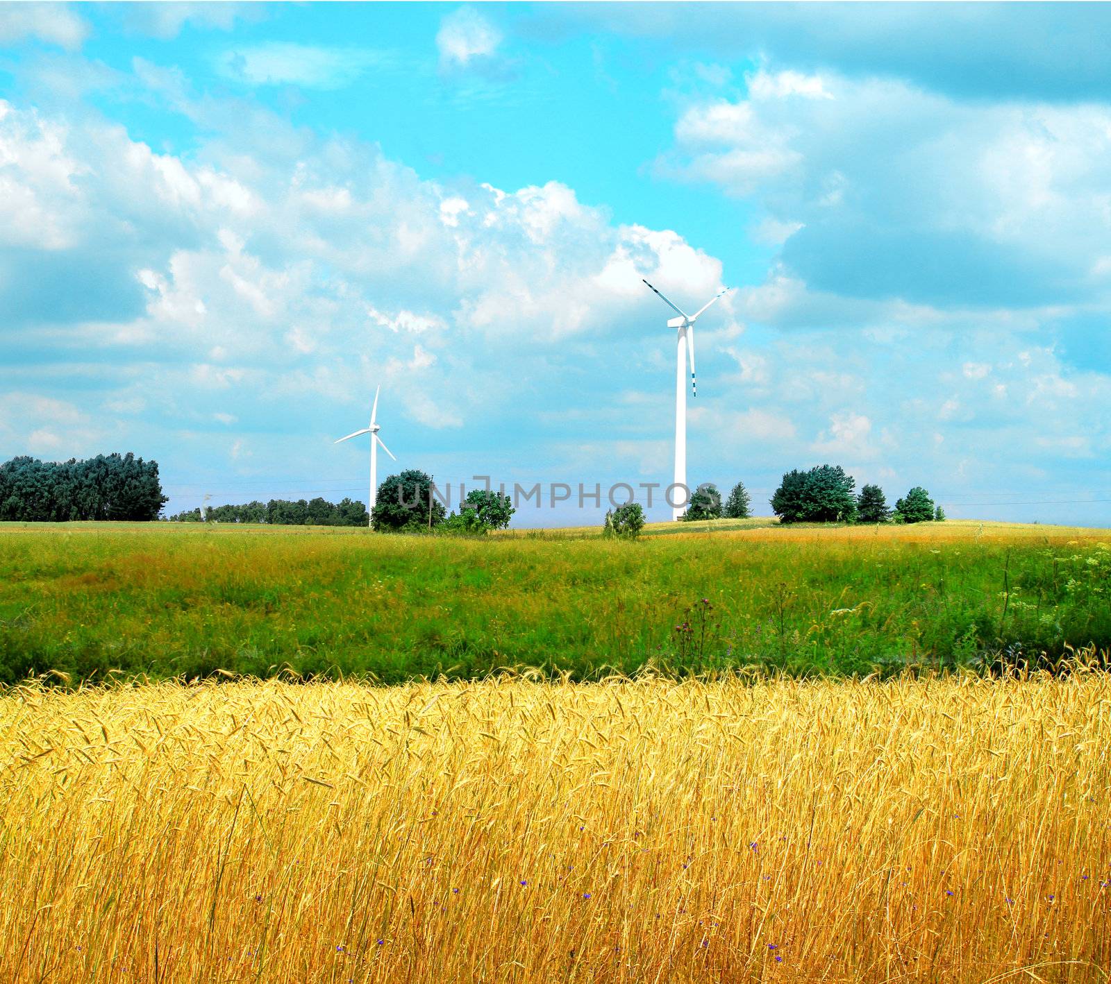 green meadow with Wind turbines generating electricity