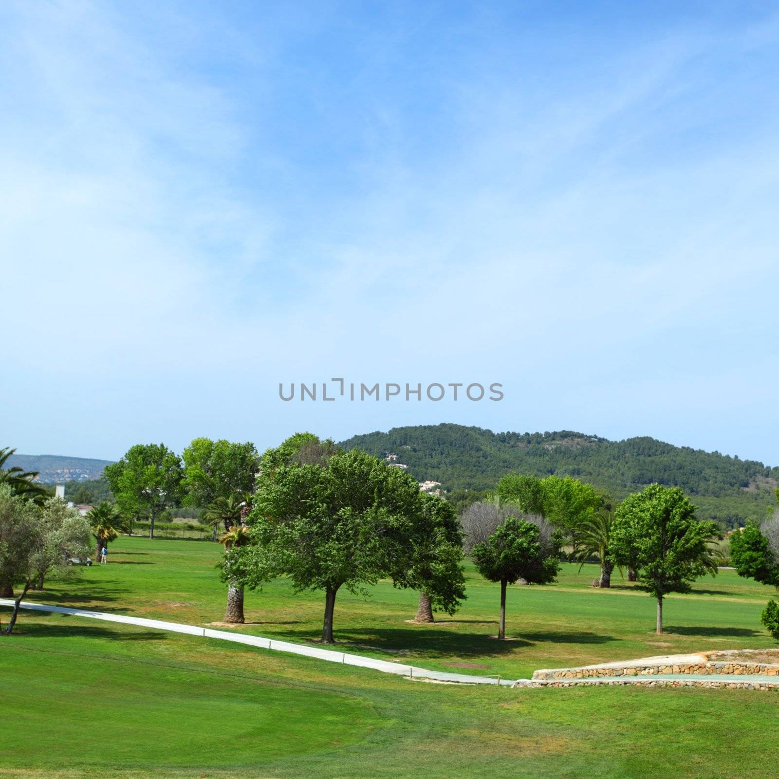 Green grass on a golf field