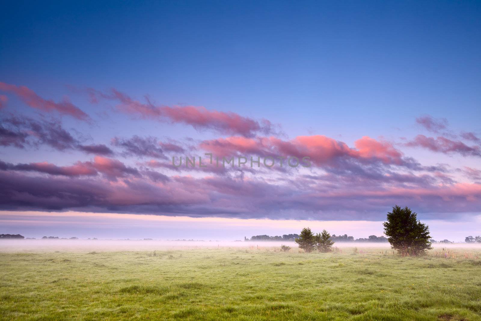 Dutch field in morning fog by catolla