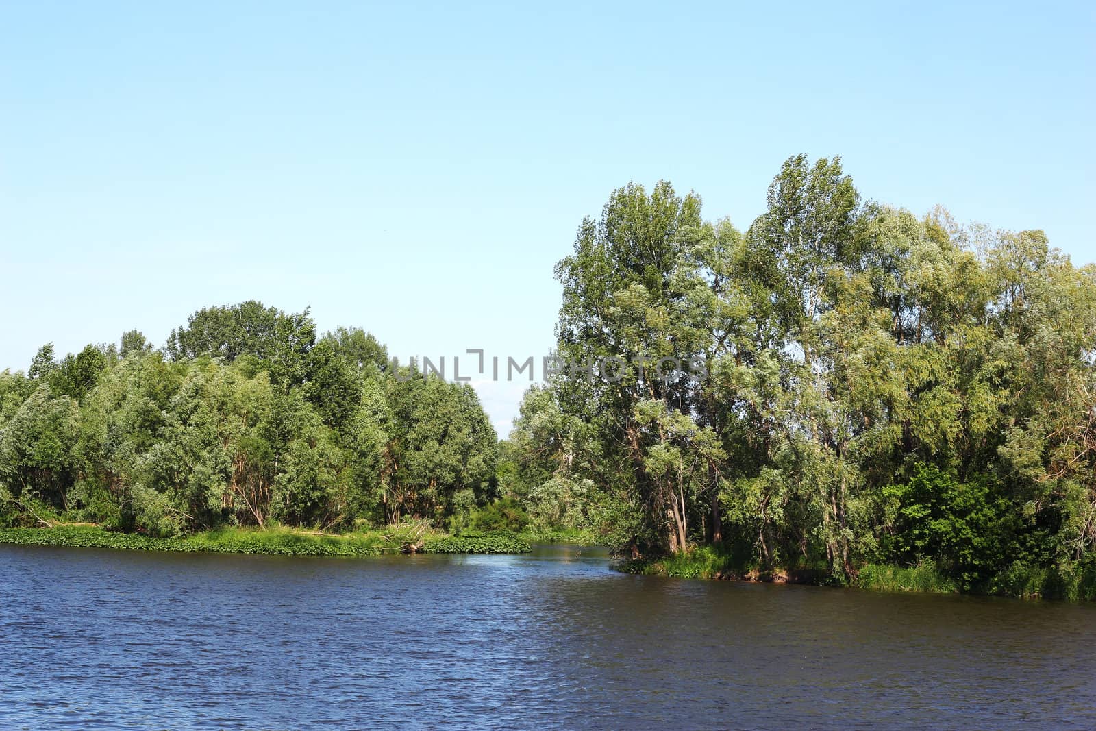 Summer landscape with river and trees by sergpet