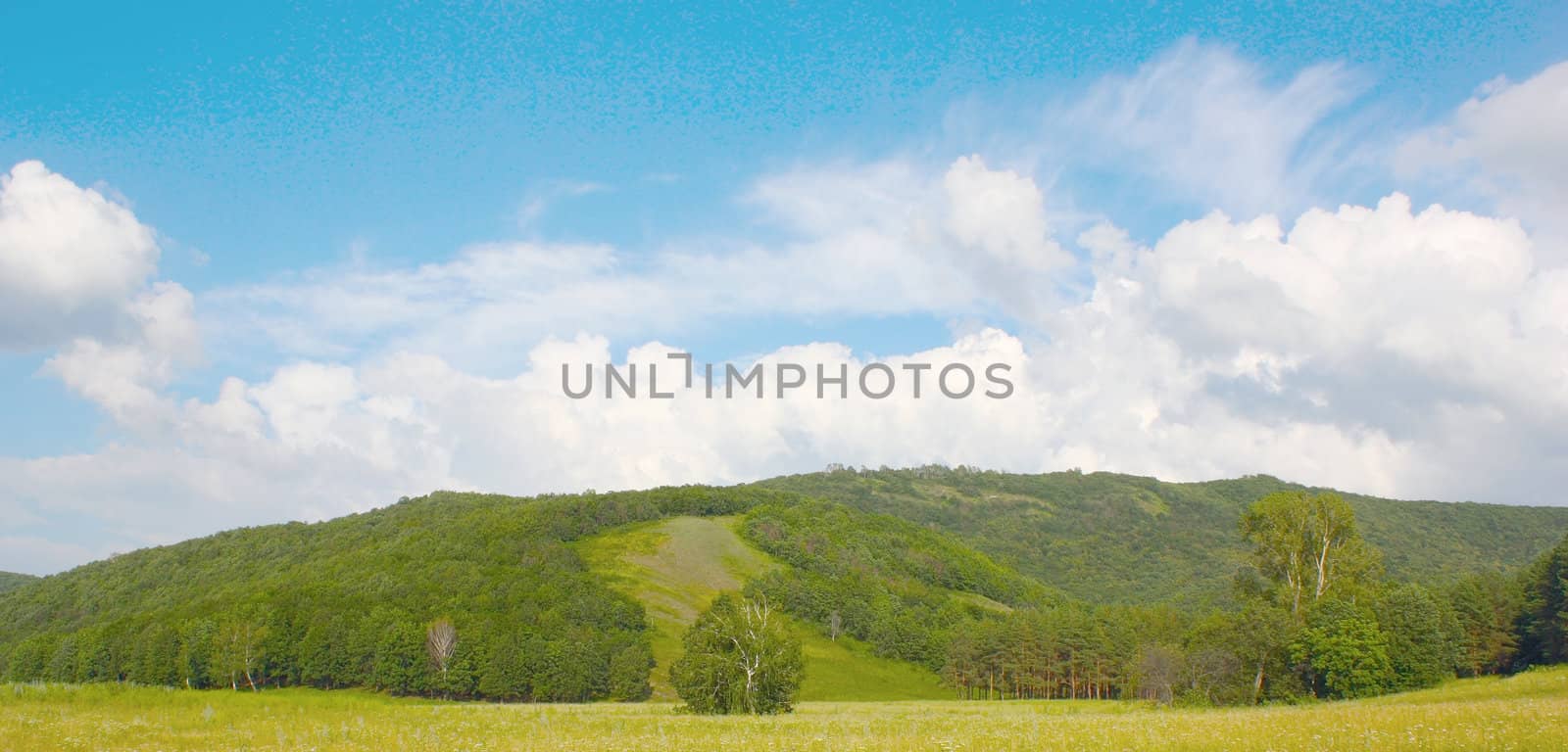 Beautiful summer landscape with forest on the hills.