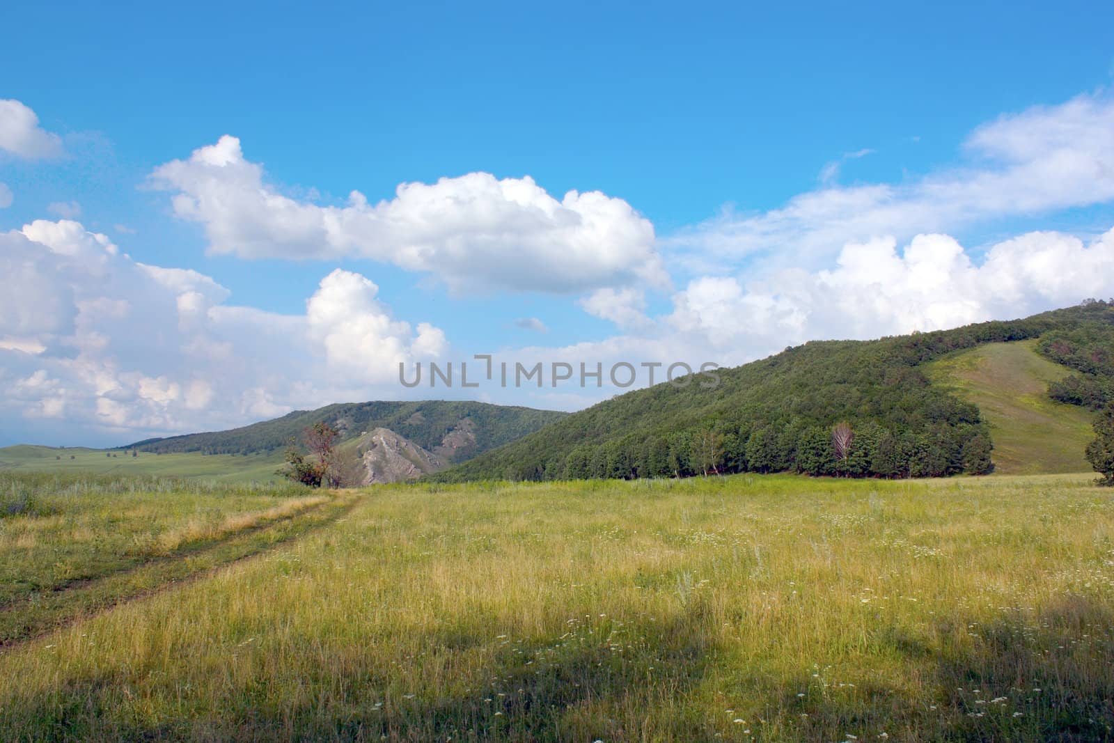 Beautiful summer landscape with mountains  by sergpet