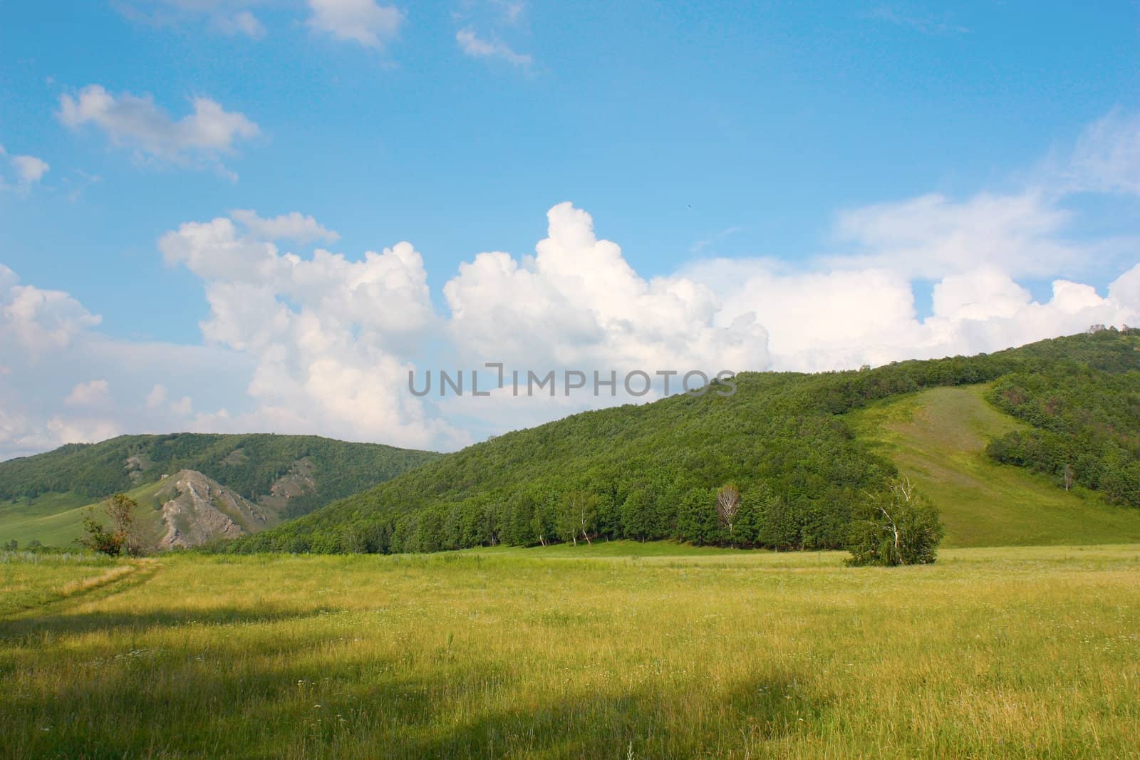 Summer landscape with mountains. Blue sky with clouds.