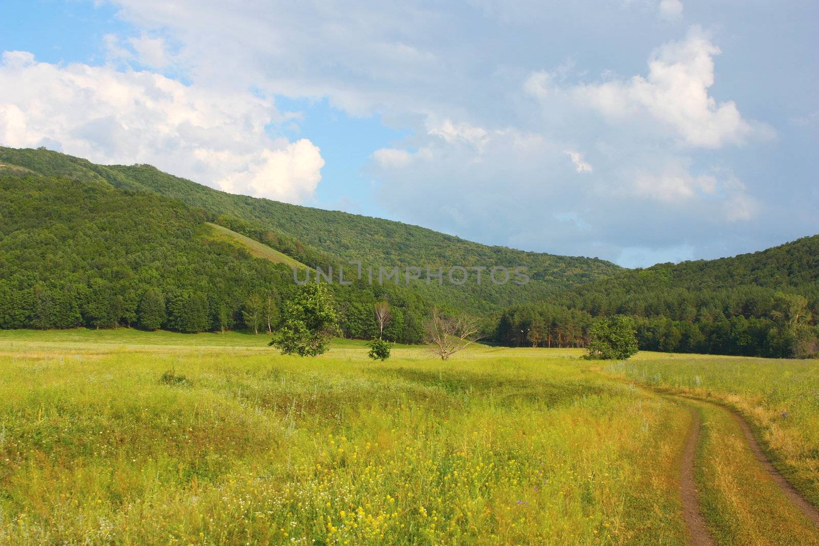 Roads in the gorge. Summer landscape. 