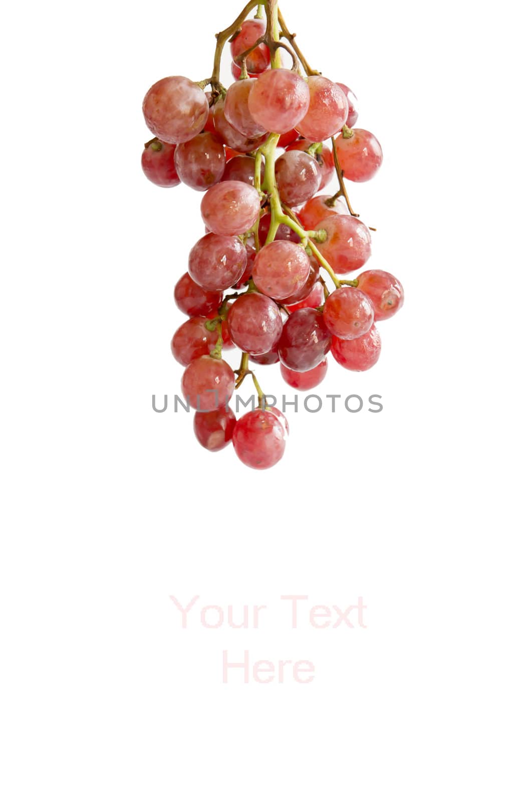 bunch of fresh red grapes on white background and free space for text