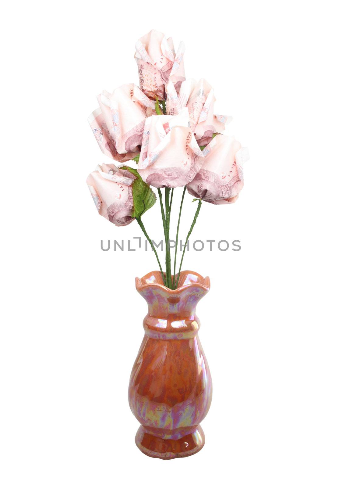 money flower in vase by geargodz