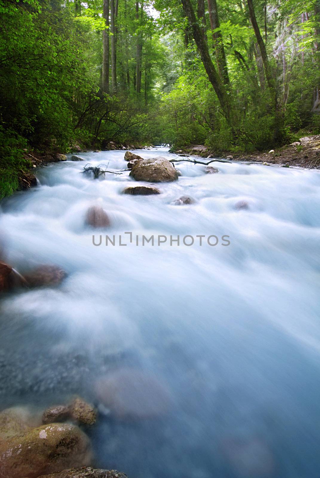 Beautiful wild alpine brook with long exposure in green forest