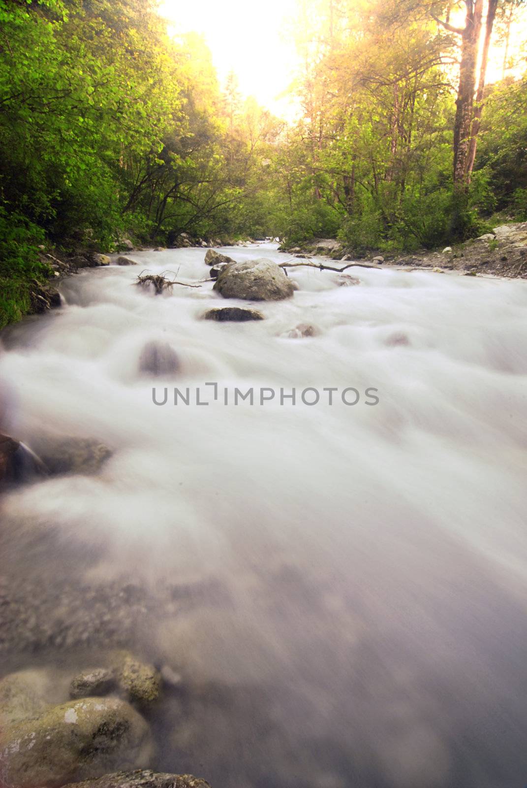 Beautiful wild alpen brook with long exposure at sunset with vegetation in the background