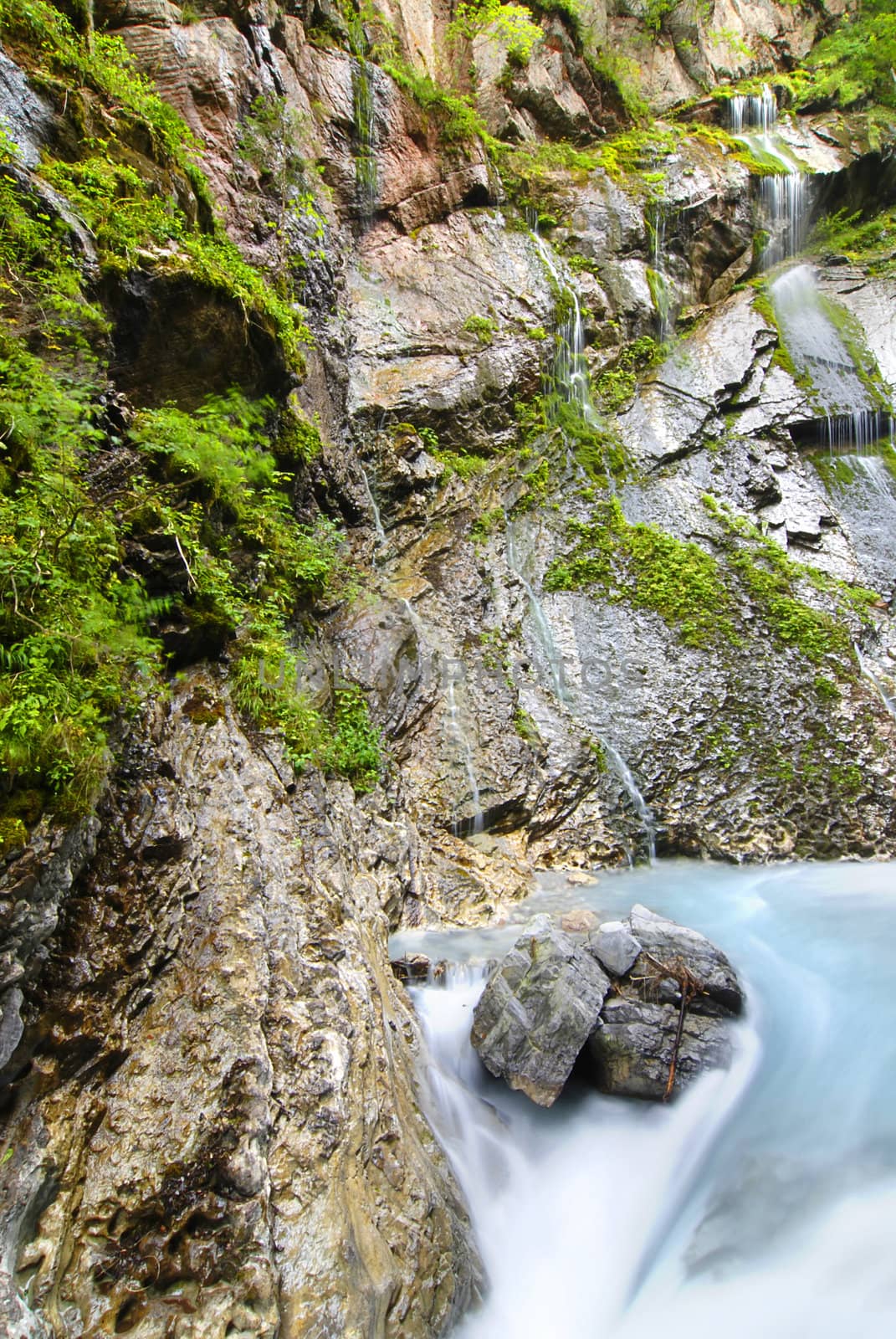 Alpine brook by fyletto