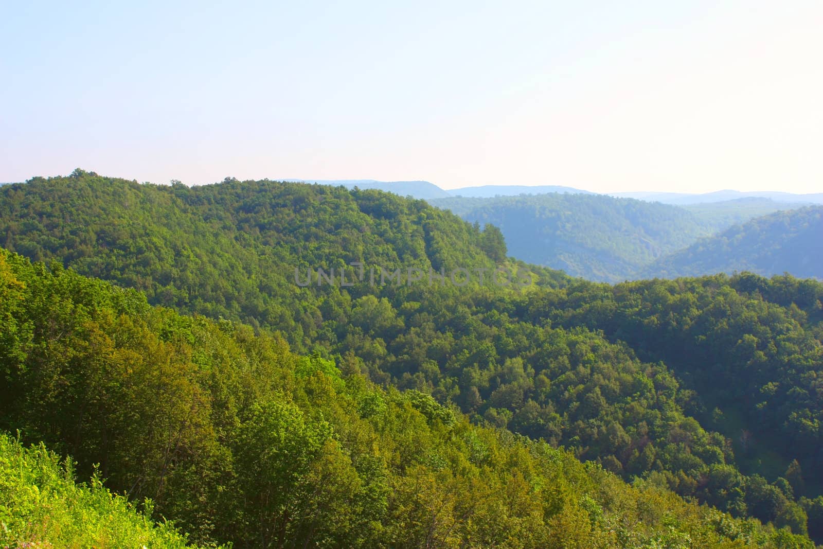 Beautiful summer landscape with mountains