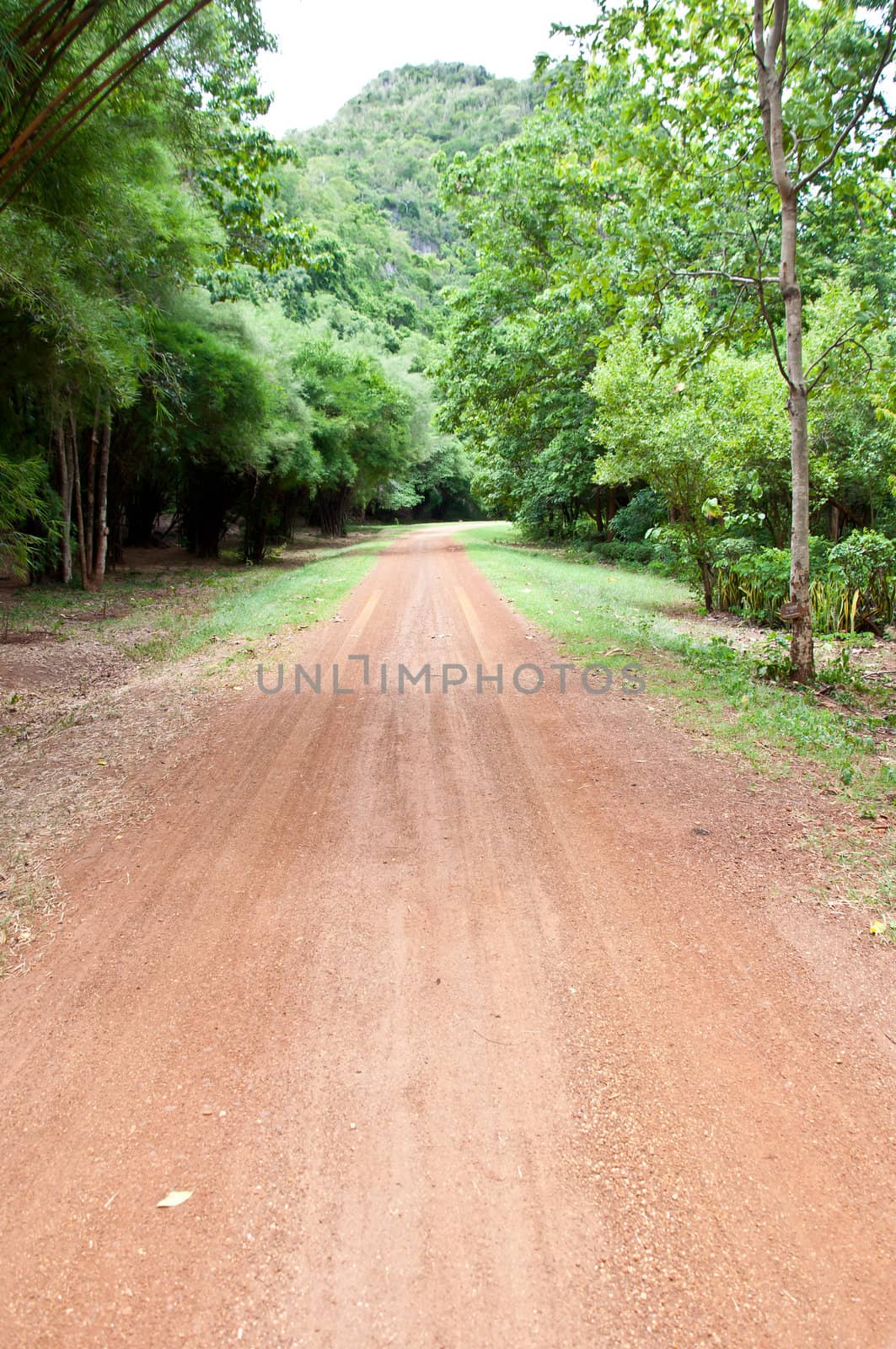 Road to the mountain by buffaloboy