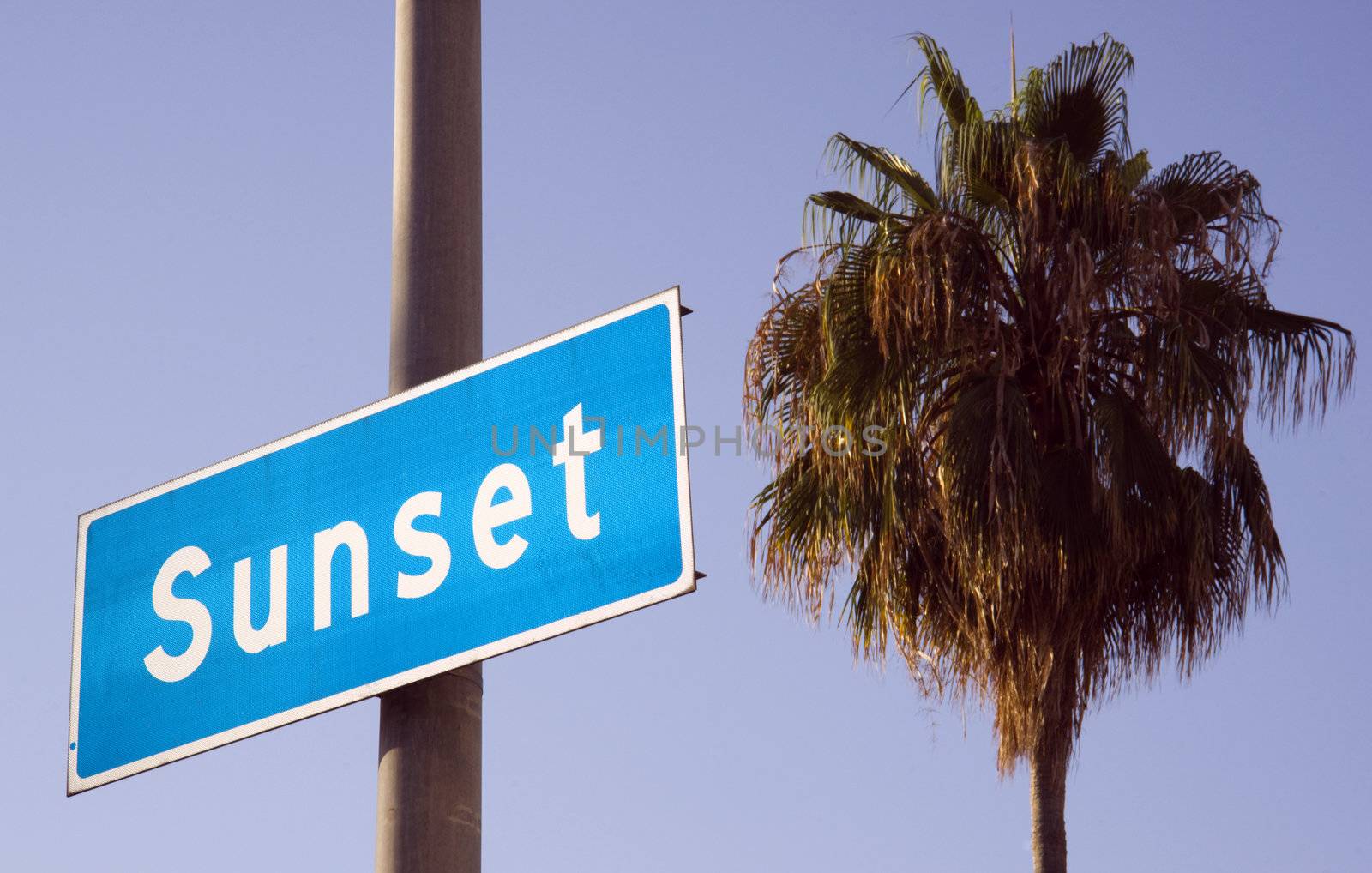 The Famed Sunset BLVD in Los Angeles