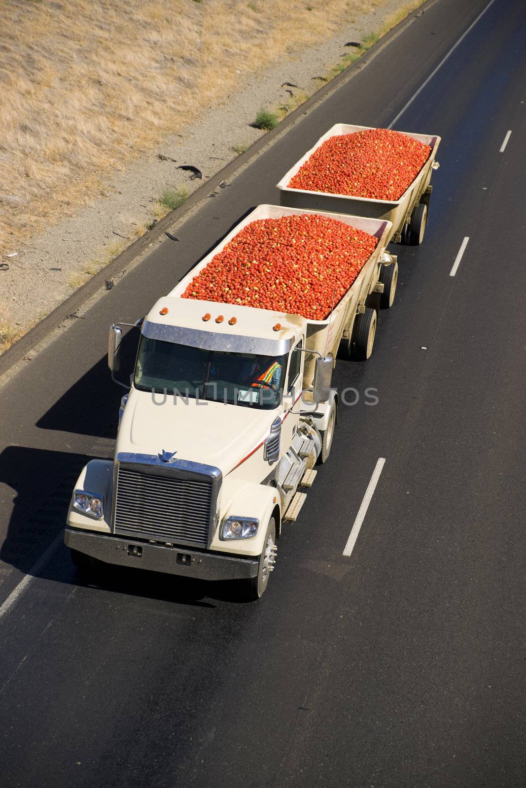 A Transport Truck hauls Fruit through the desert
