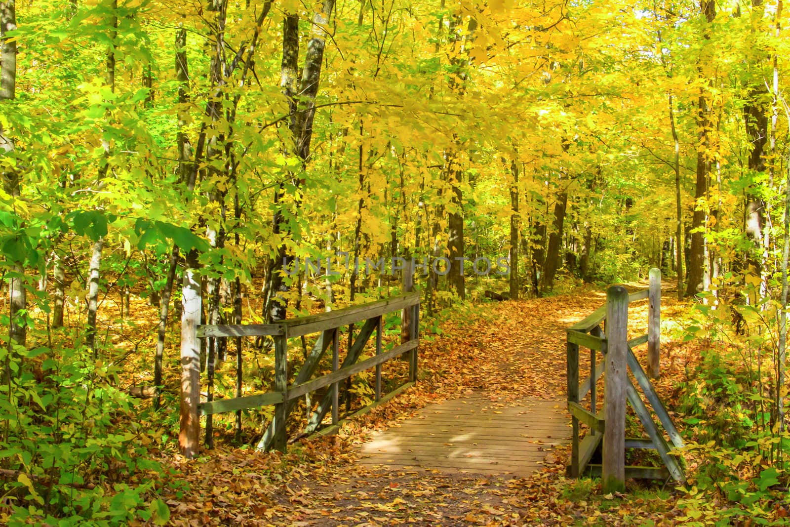 Autumn in Minnesota at Banning State Park.