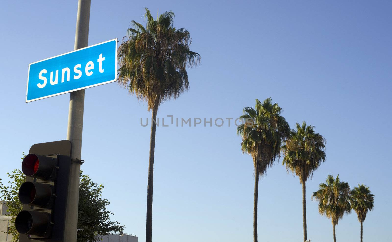 The Famed Sunset BLVD in Los Angeles