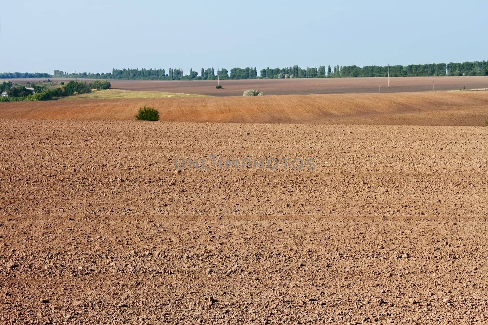 Field near the village by qiiip