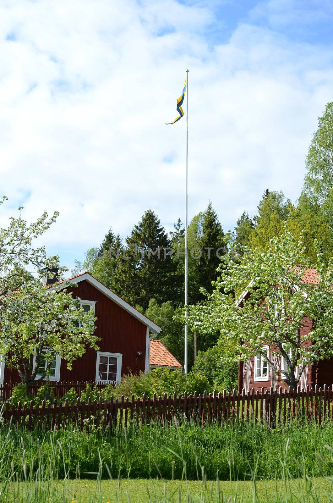 A red cottage with an Apple tree and a red fence in the foreground