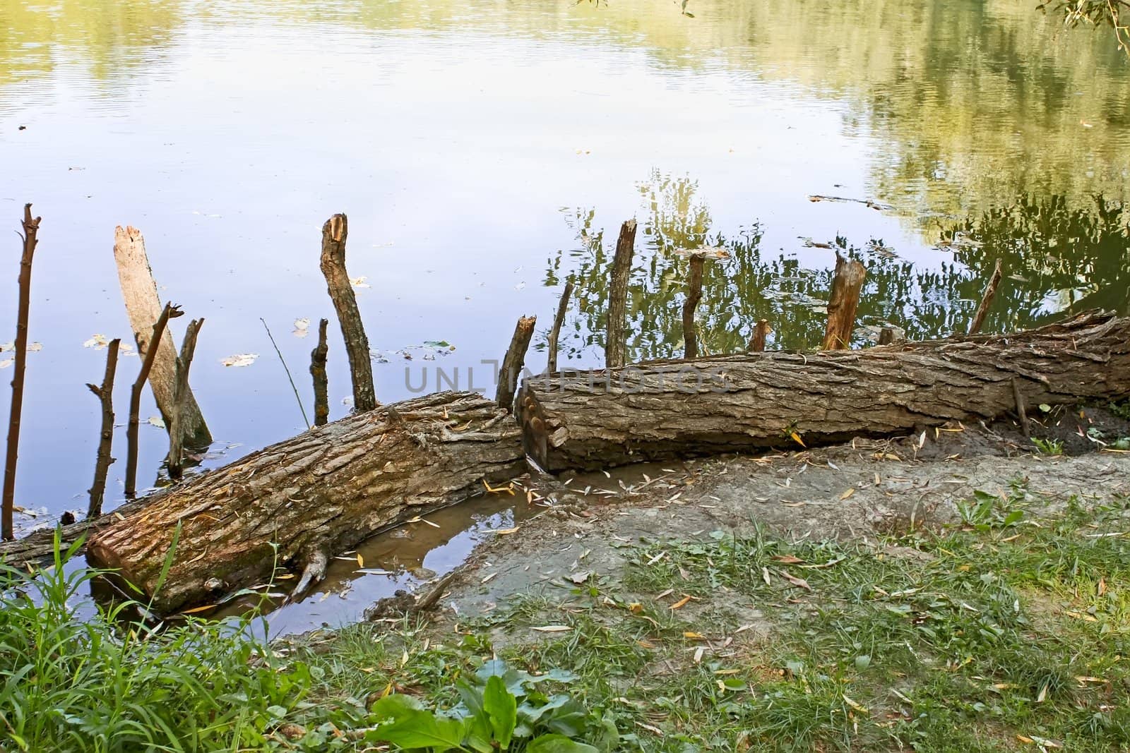 Wooden logs on the bank by qiiip