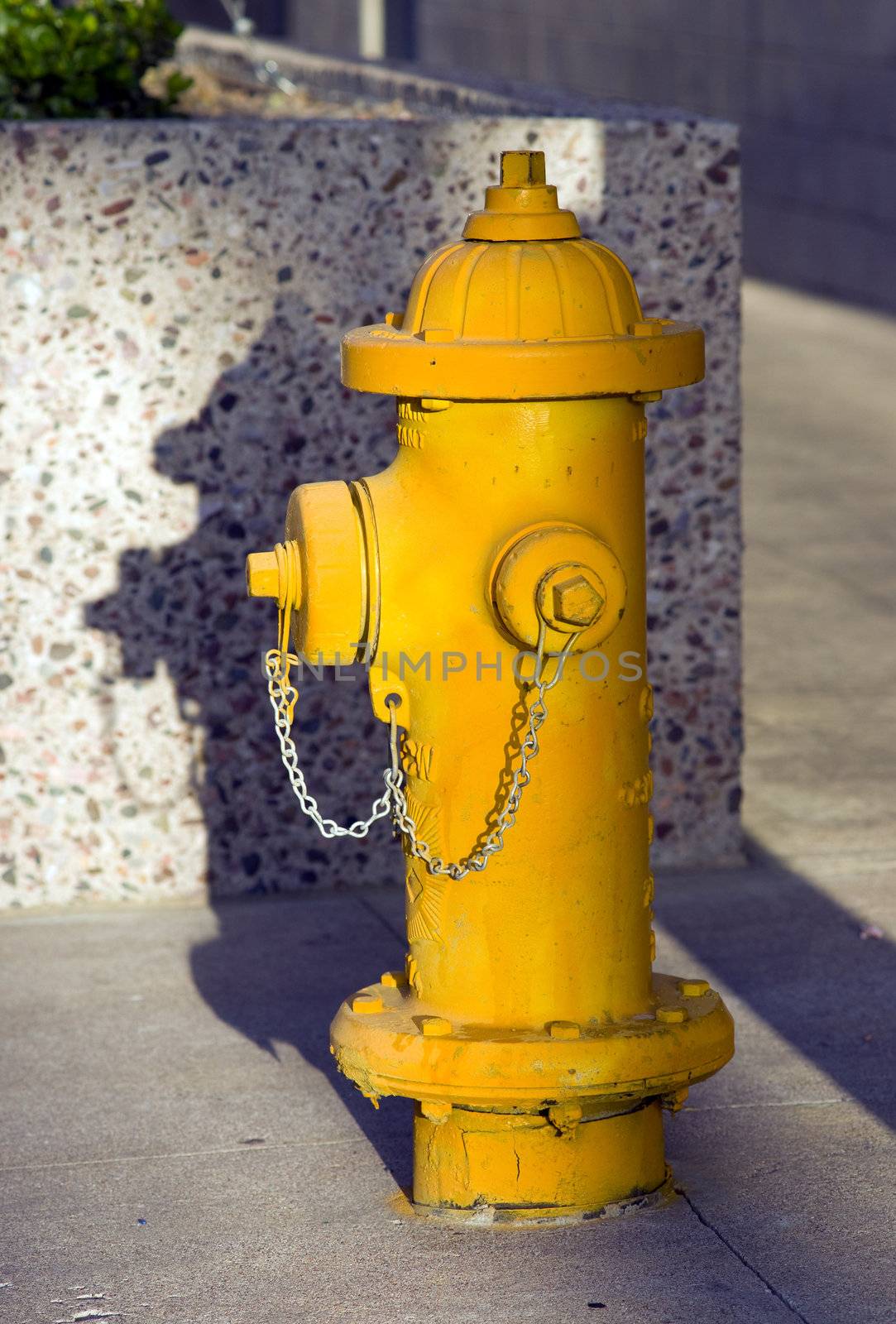 Fire Hydrant in the city