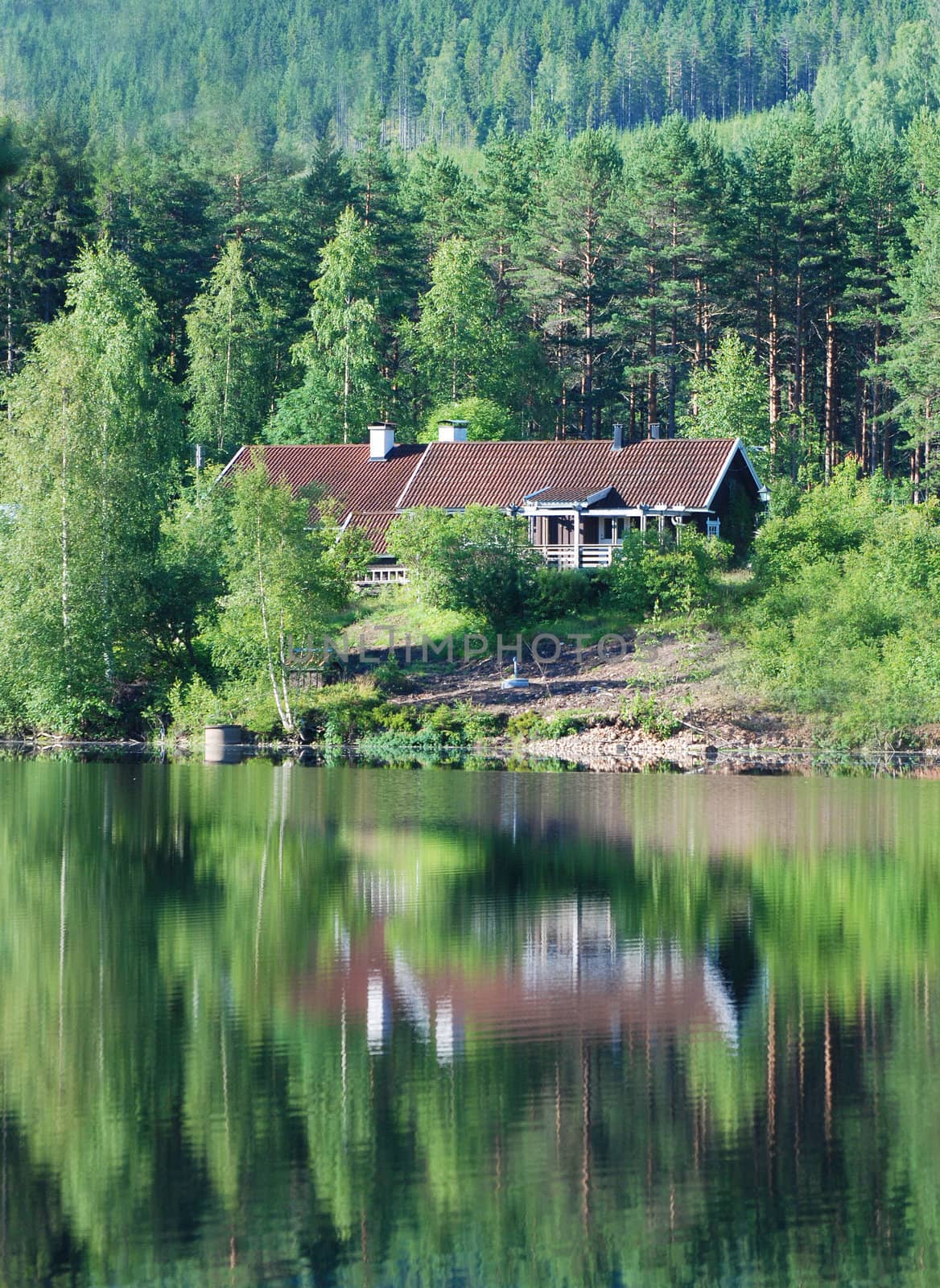 Holiday Homes in the wilderness