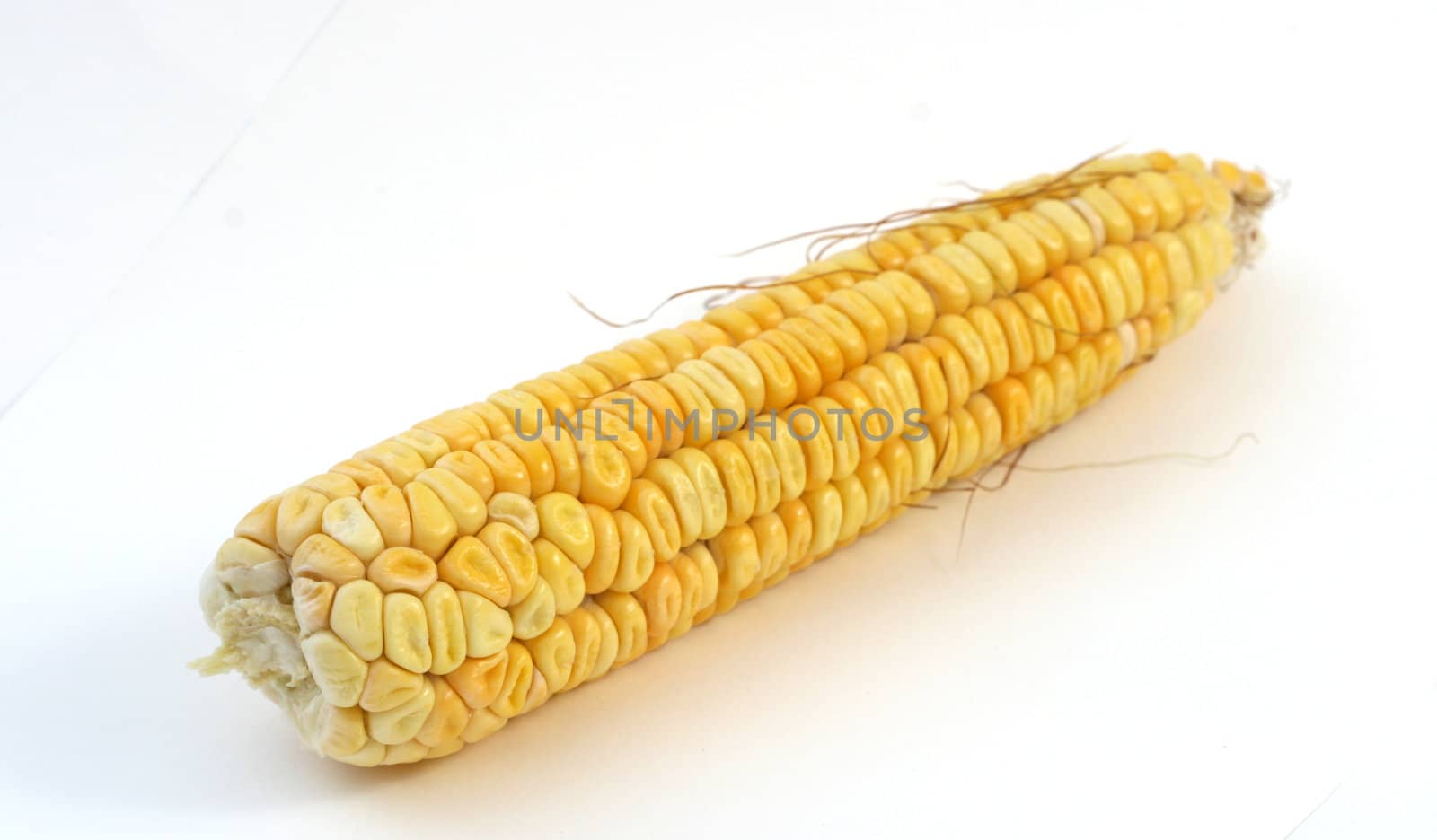 Corn background