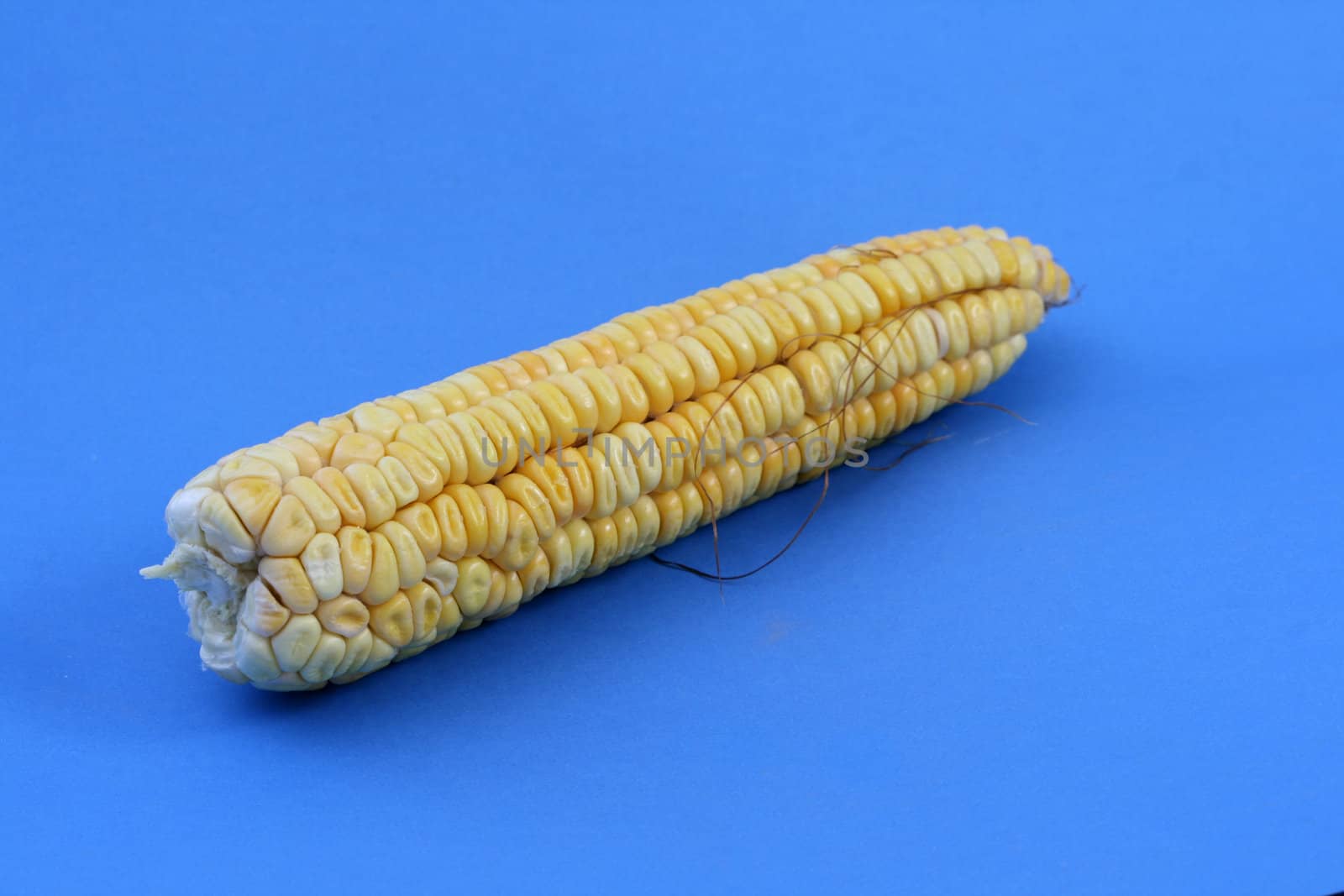 Corn background