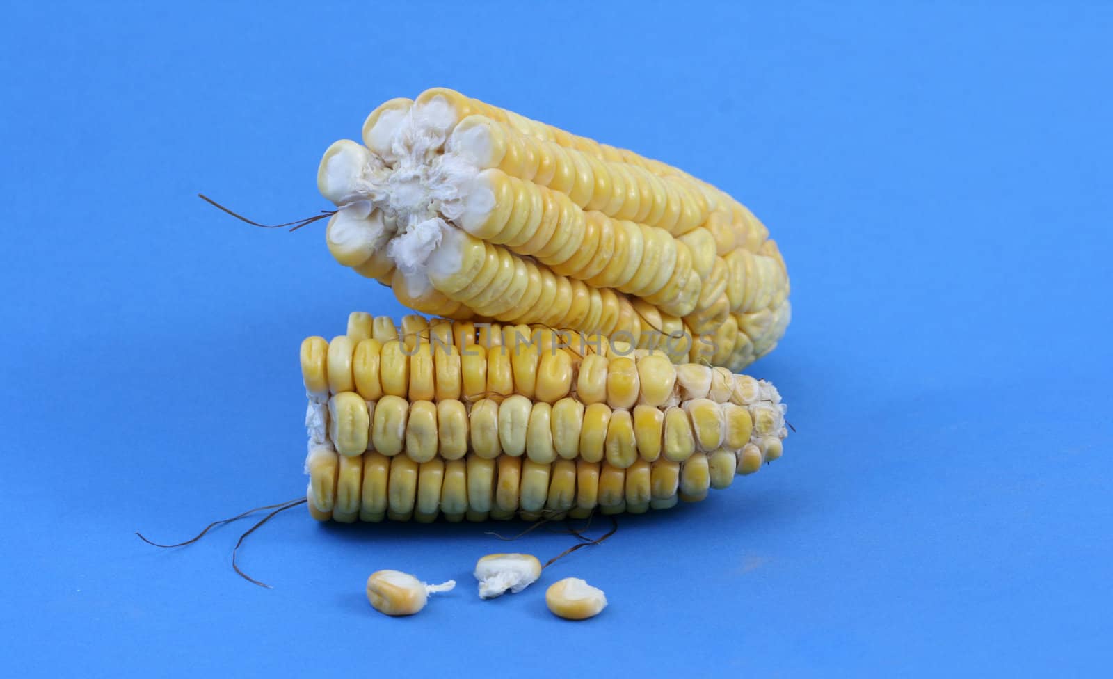 Corn background