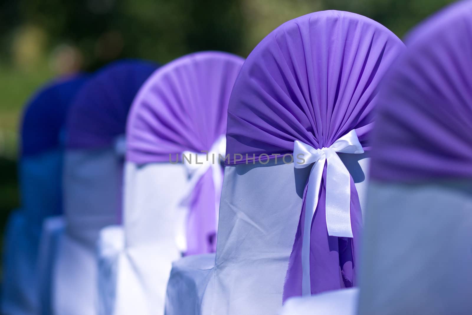 Wedding chairs with purple covers and white ribbons