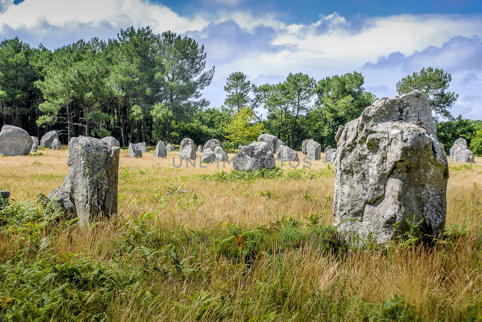 Field of dolmens in Carnac