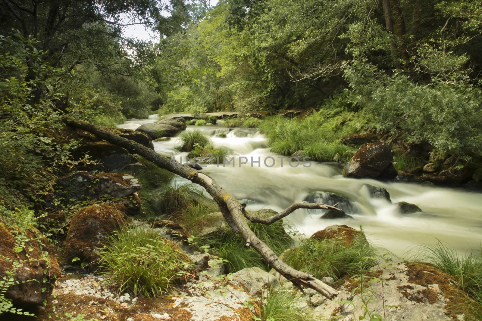 Fast river forming rapids in Caldas de Reis, Galicia