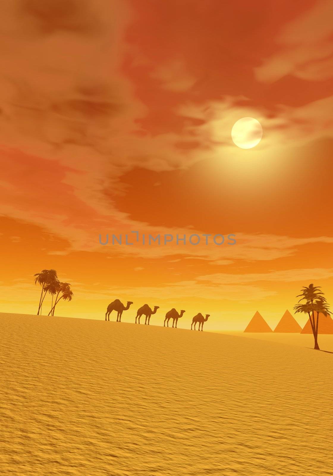 Camels walking in the desert between palmtrees and towards pyramids by sunset