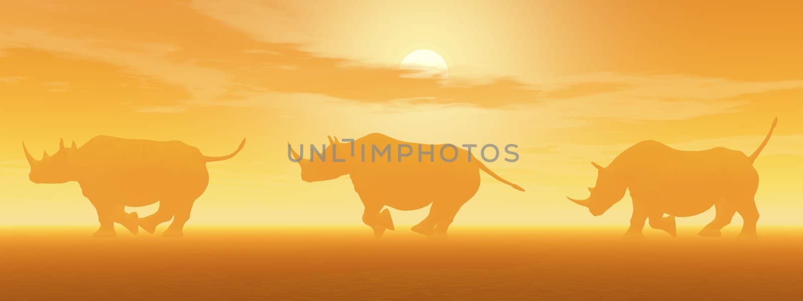 Three rhinoceros running in the savannah by foggy sunset light